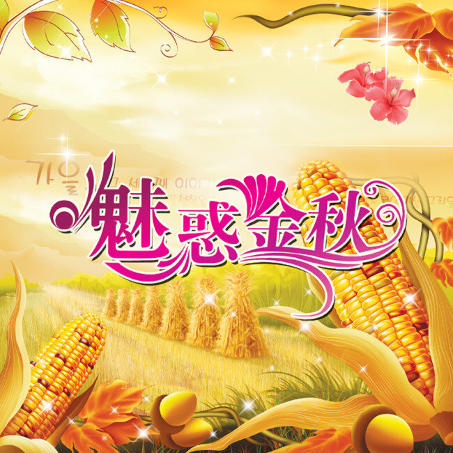 魅 惑 金秋 丰收 黄色背景 秋天 玉米 psd源文件