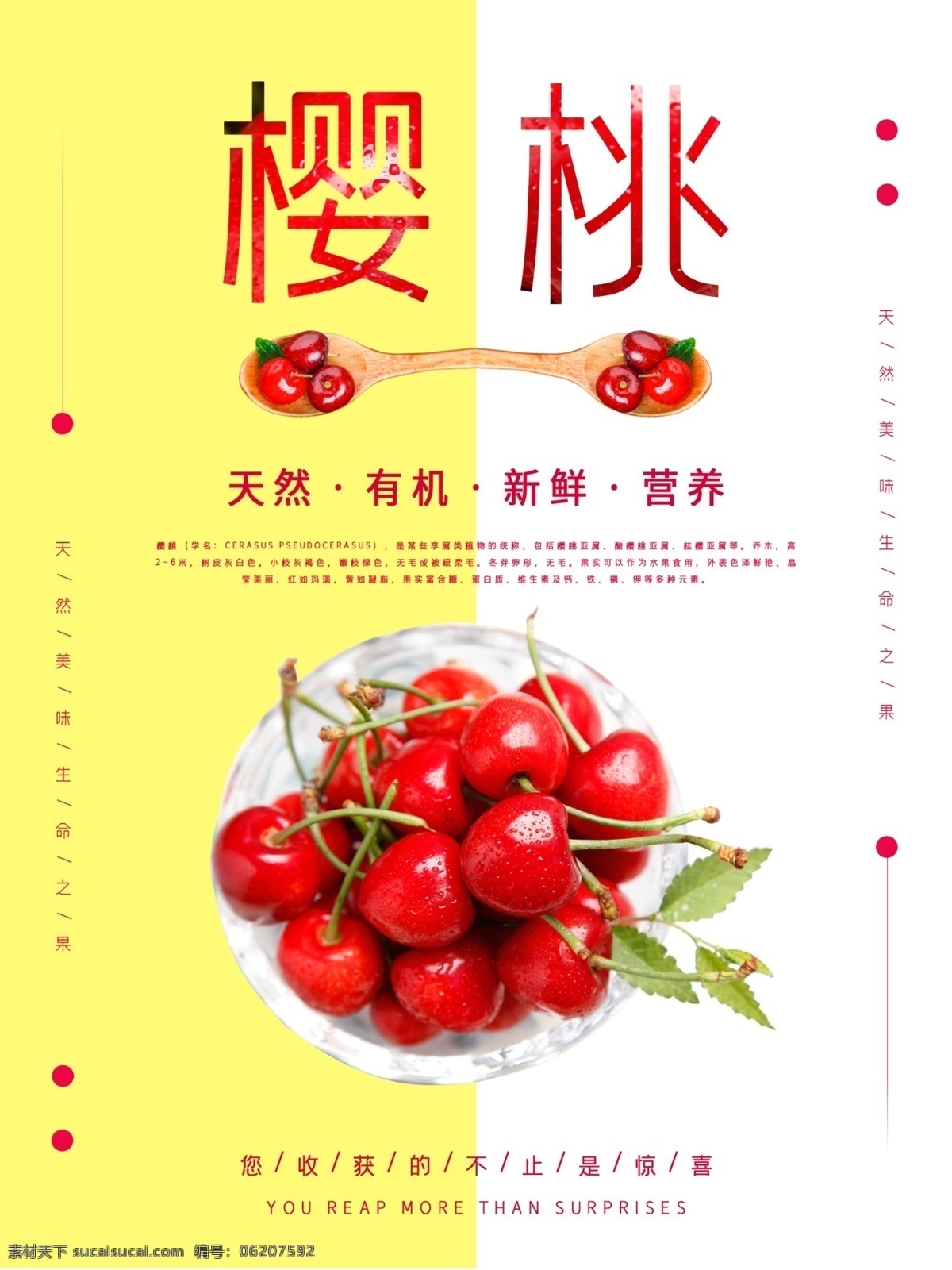樱桃 新鲜 水果 海报 车厘子 促销 黄色 简单 美食 美味 天然 营养