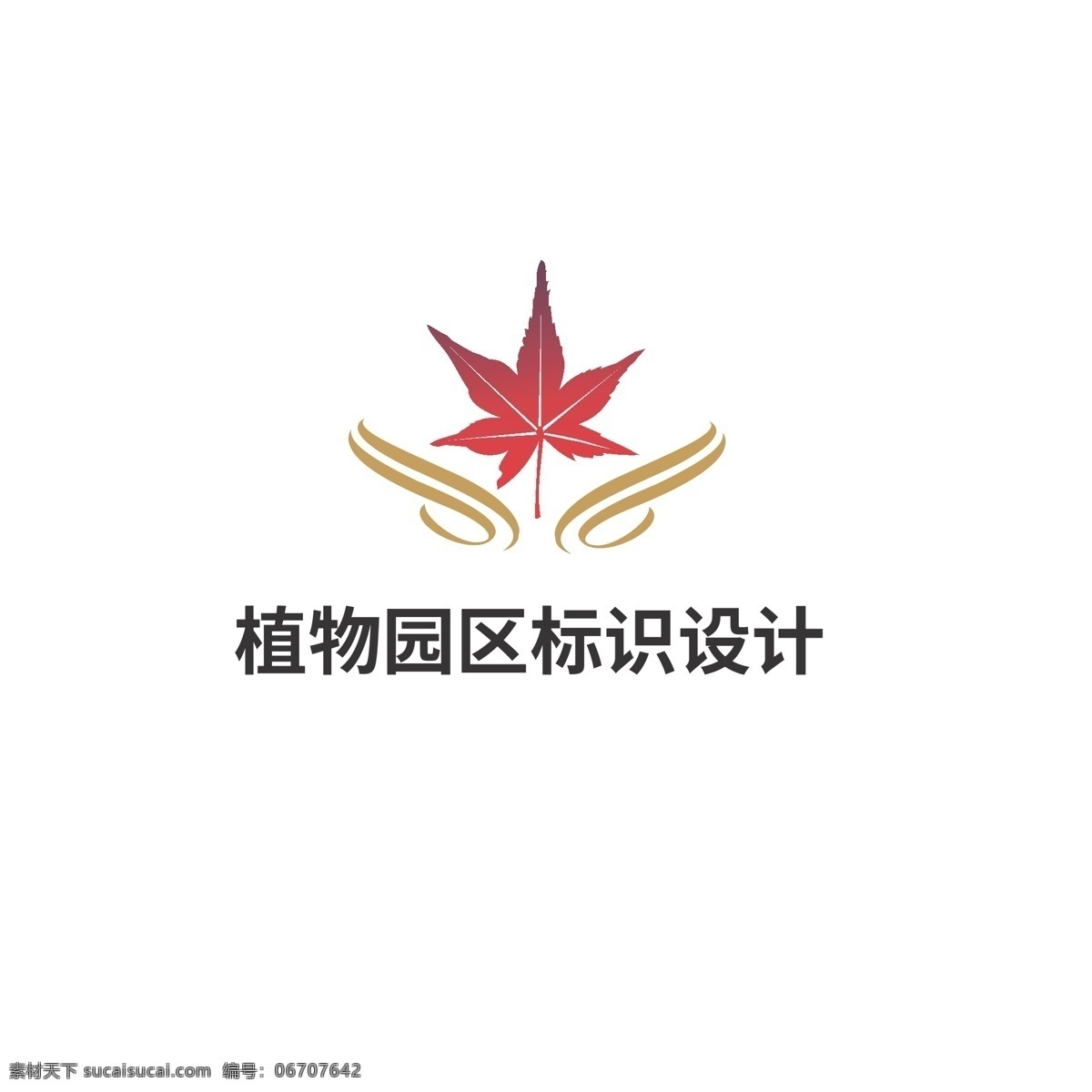 植物 园区 标识设计 标识 枫树 枫叶 美丽