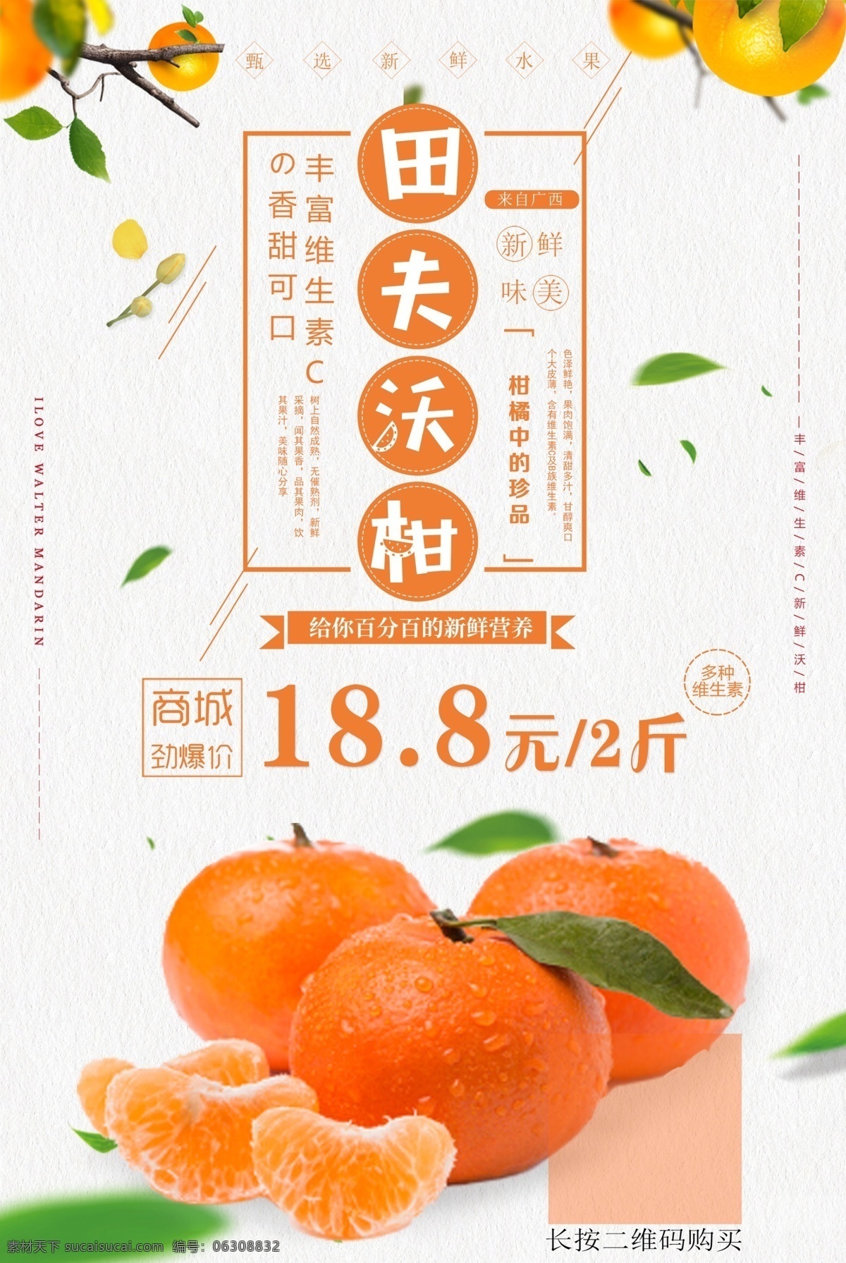 清新 沃 柑橘 子 美食 海报 柑橘海报 橘子 水果海报 小清新风格 桔子海报 沃柑海报