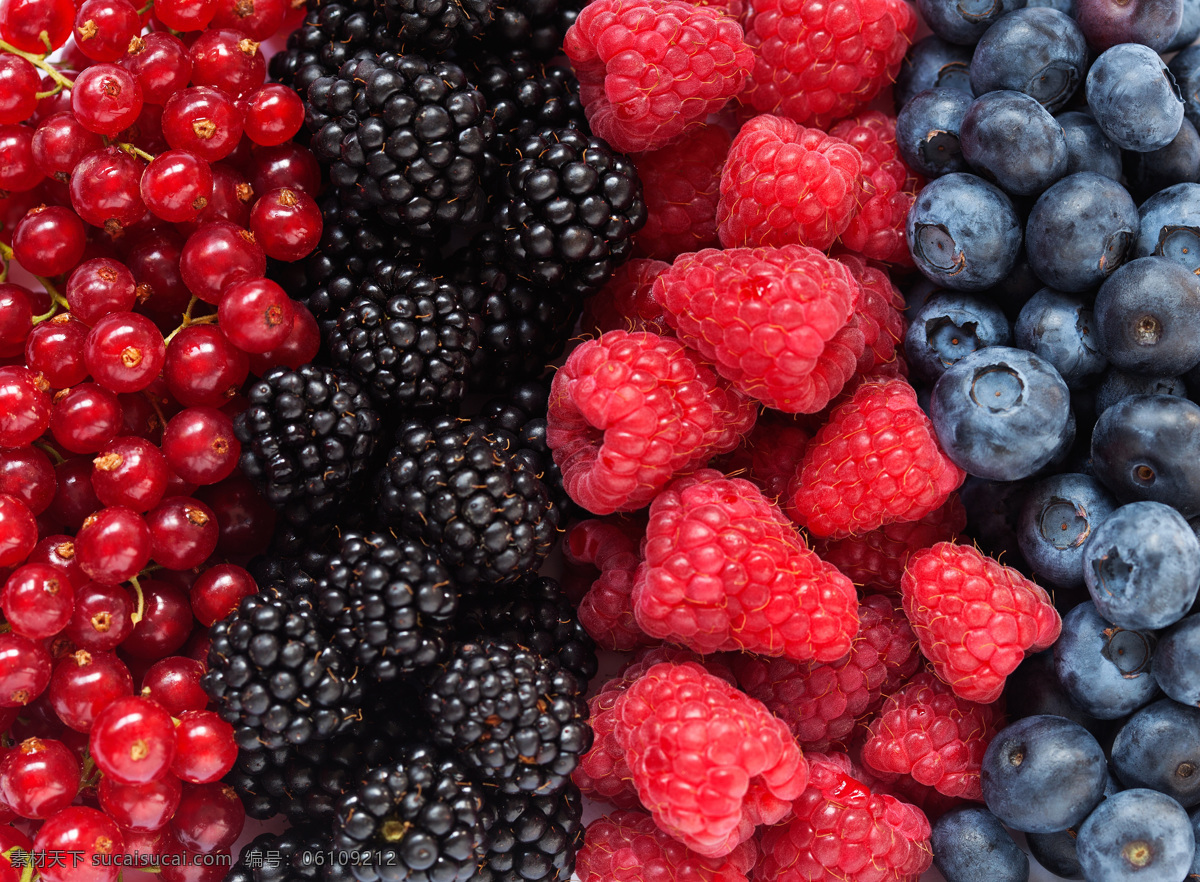 蓝莓 水果 餐饮美食 黑色 水果摄影 水果蔬菜 共享 生物世界