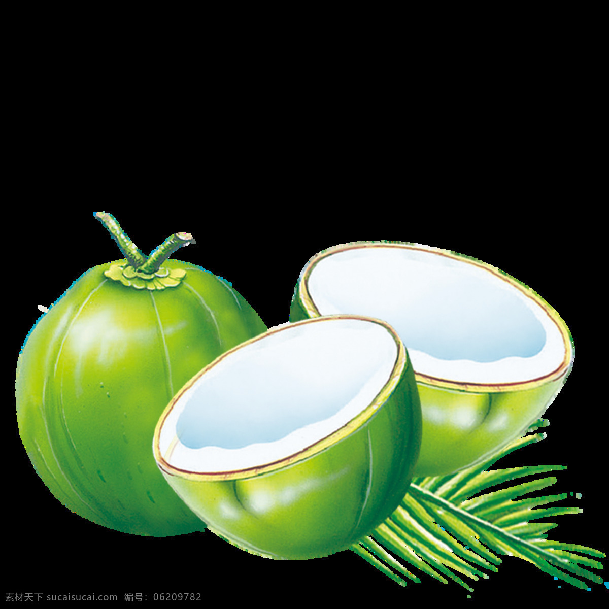 椰子壳 硬壳 水果 热带 热带水果 食物 花瓣 饮用 椰子汁 液体 水 果壳 果肉 果 果蔬 生物世界
