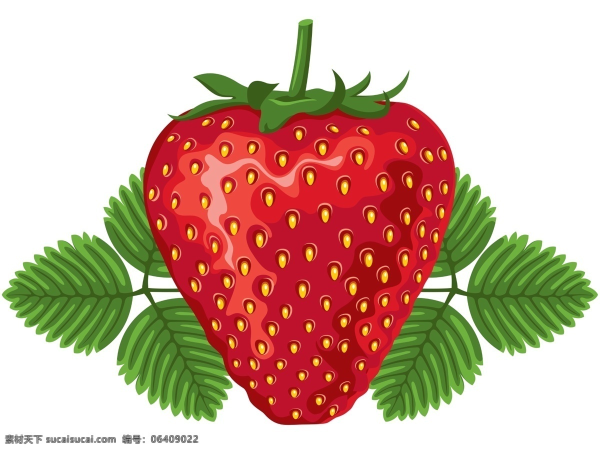 草莓 奶油草莓 树莓 水果 超市水果 特写 高清 绿叶 叶子 新鲜水果 红色 微距 花托 大棚水果 生物世界 手绘 背景分层 白色背景 蔬果 分层 源文件