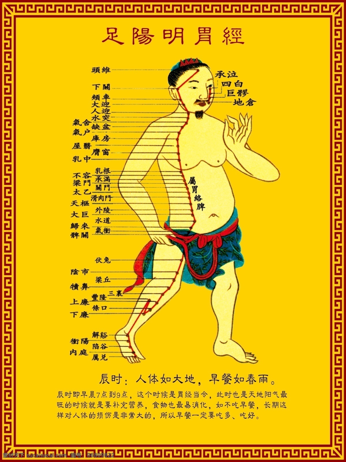 足阳明胃经 十二经络图 中医 经脉 经络图 手三阴经 手太阴肺经 手三阳经 手阳明大肠经 手少阳三焦经 手太阳小肠经 足三阳经 足少阳胆经 足太阳膀胱经 足三阴经 足太阴脾经 足厥阴肝经 足少阴肾经 正经