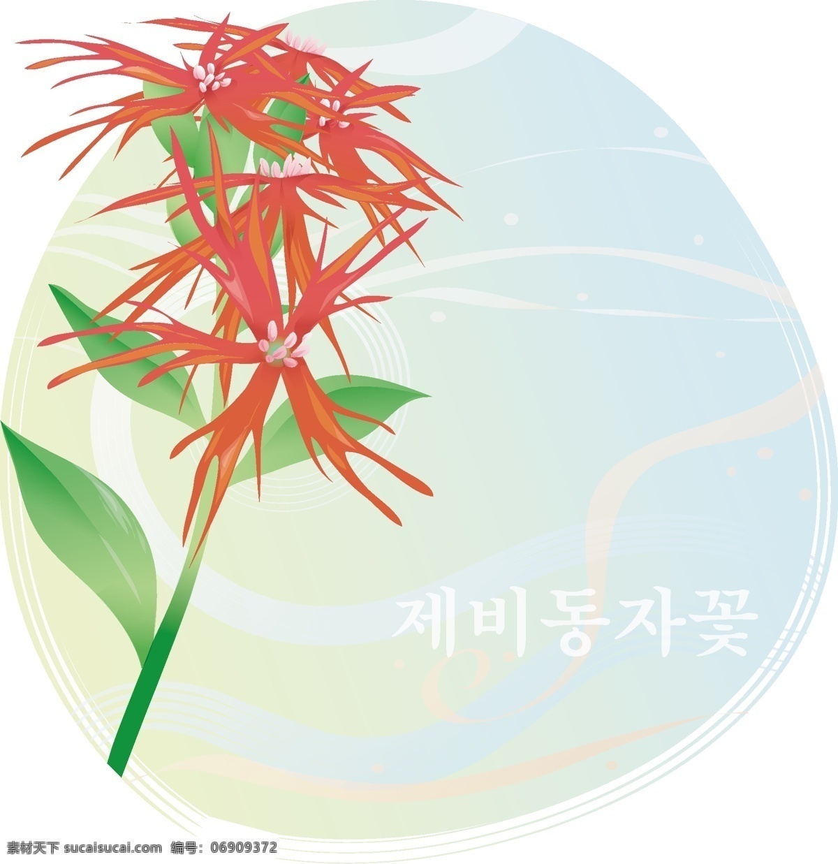 红花 石蒜 曼珠沙华 鲜红花 向量植物 矢量图 花纹花边