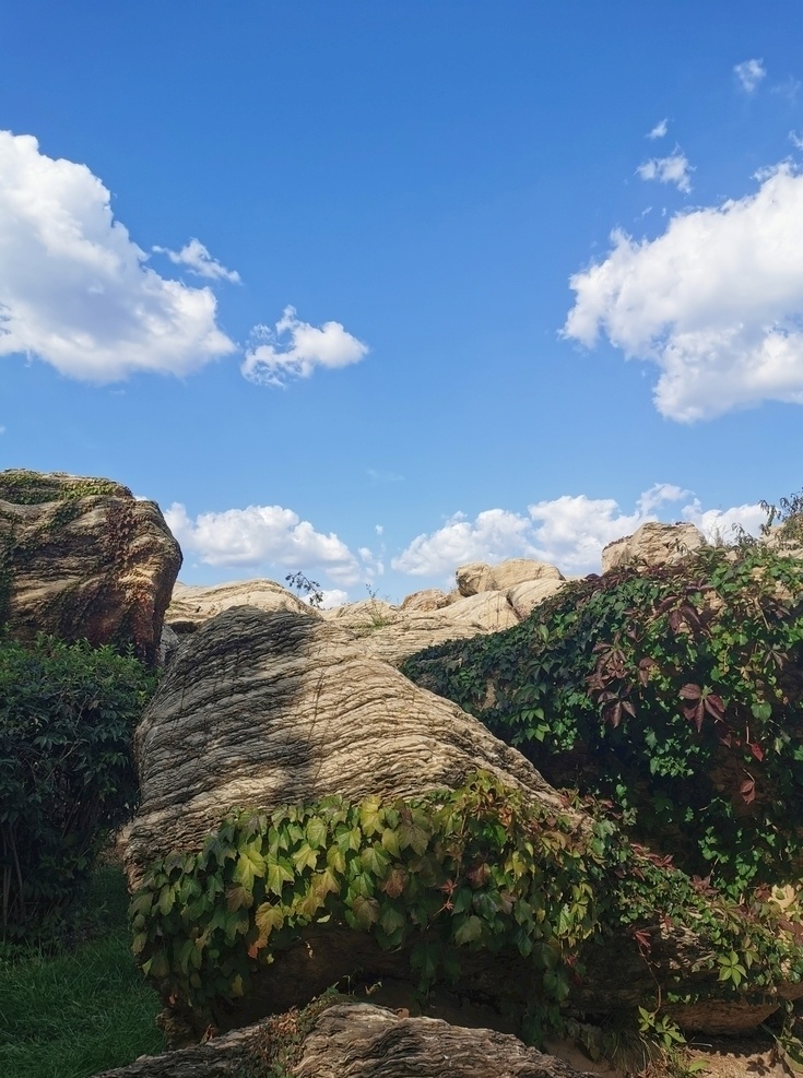 金石 园 石头 蓝天 金石园 蓝天白云 天然岩石 风景 自然景观 自然风景