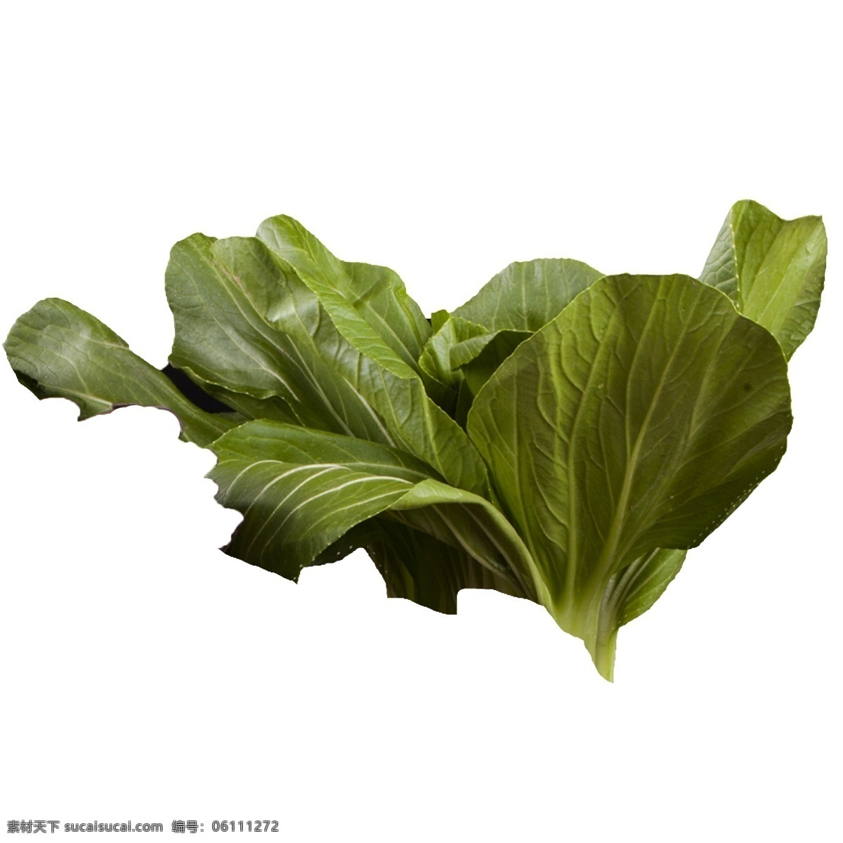绿色 蔬菜 新鲜 生菜 绿色植物 健康 产品 实物 免 扣 深绿色 植物 免扣 实拍 绿油油 自然
