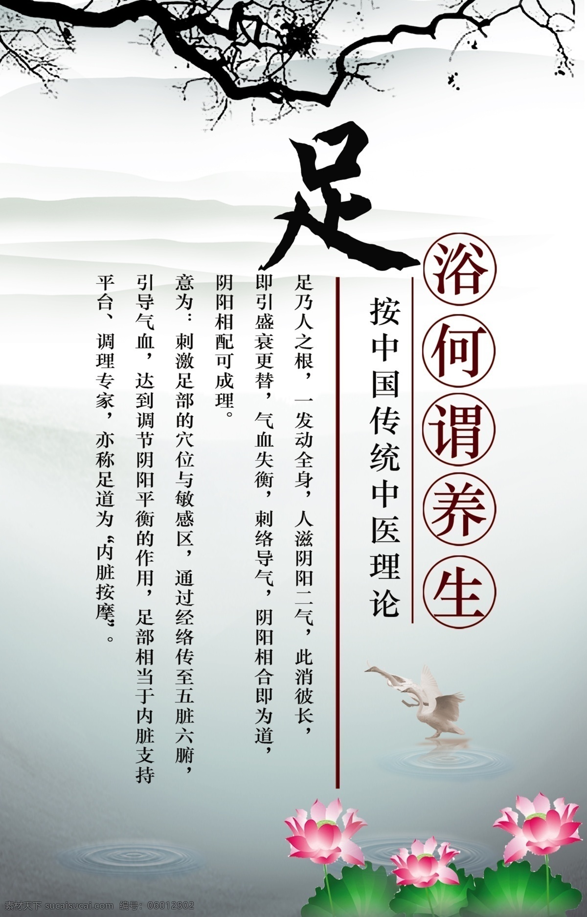 何谓养生 传统中医理论 调理 健康养生 分层 源文件