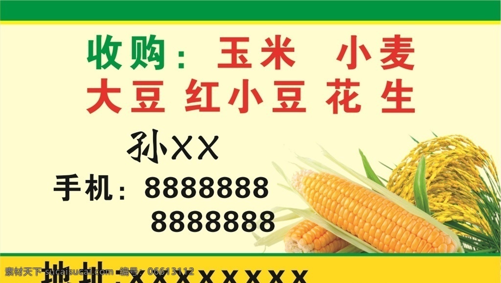 玉米名片 收粮食 名片 小麦 玉米小麦 五谷名片 大豆 简单名片