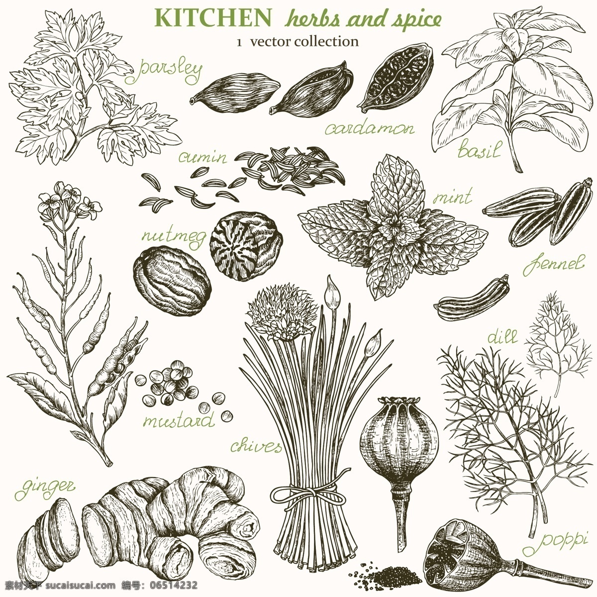 手繪線條植物 啡白色 手繪 風格 線條 植物 生物世界 蔬菜