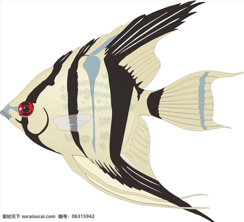 天使鱼 手绘 矢量 海洋鱼 鱼类 卡通 生物世界