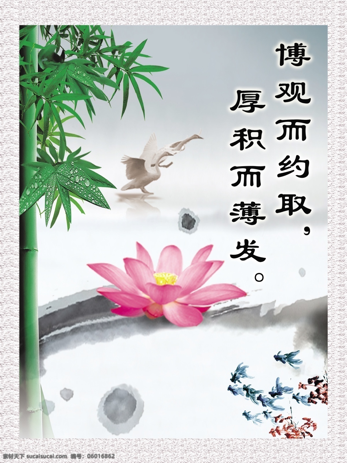 传统背景名言 学习名言 传统元素 传统风景 竹子 荷花 金鱼 传统 学校 名言 展板模板 广告设计模板 源文件
