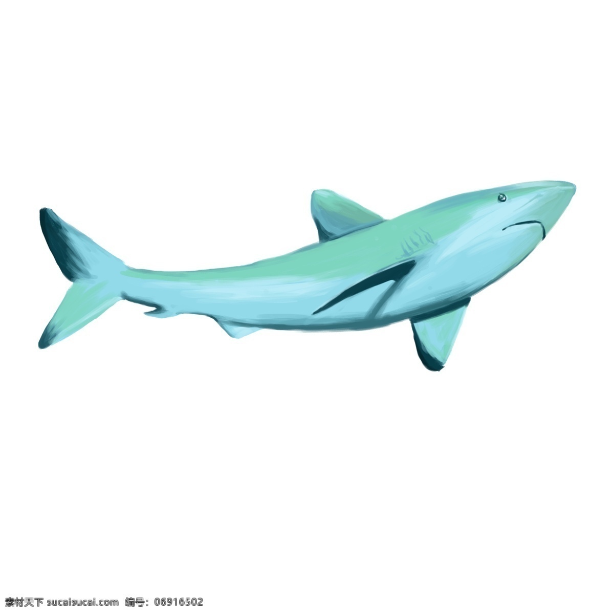 海洋生物海豚 海豚 海洋 生物