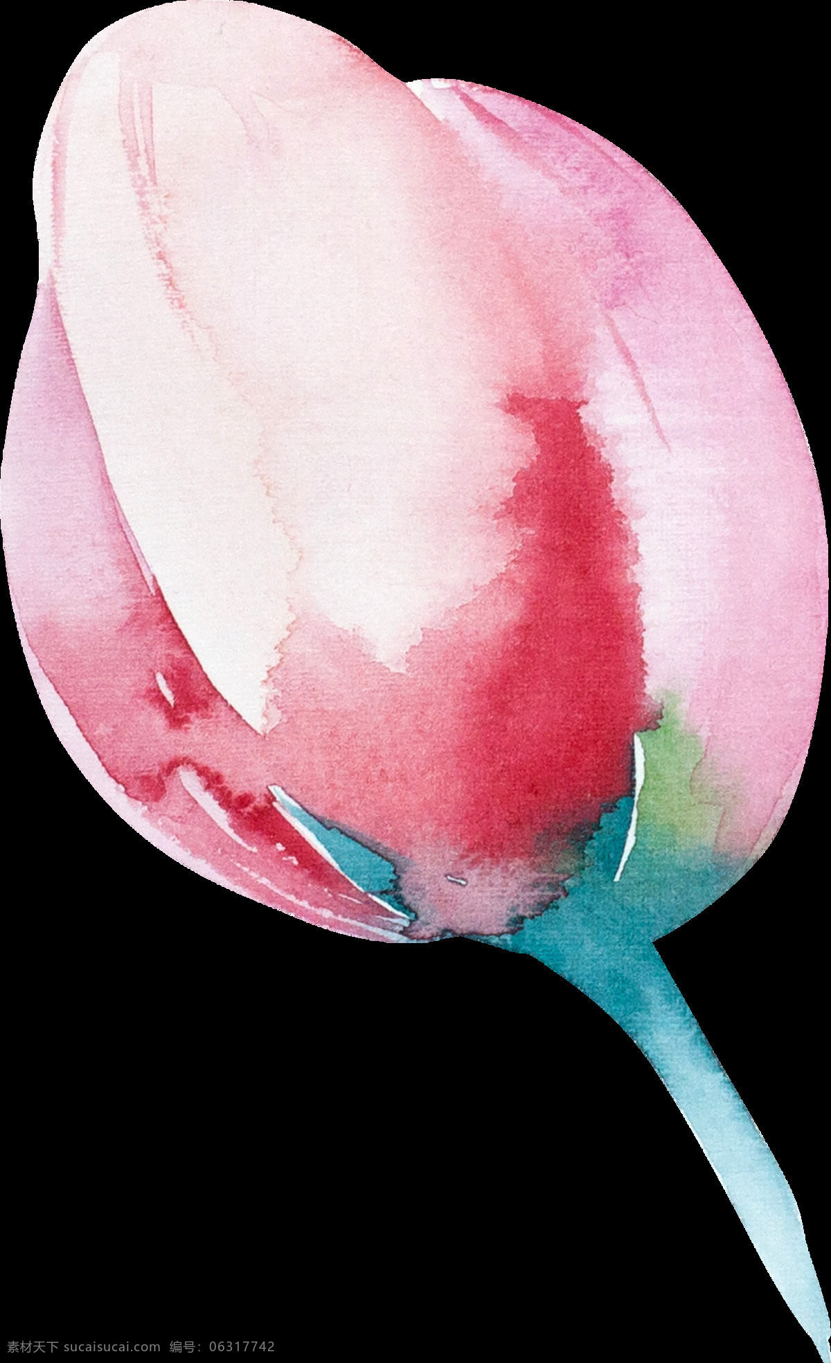 手绘 粉色 鲜花 透明 合集 免 扣 白色 插画 花苞 花朵 花卉 花茎 卡通 蓝色 绿色 绿叶