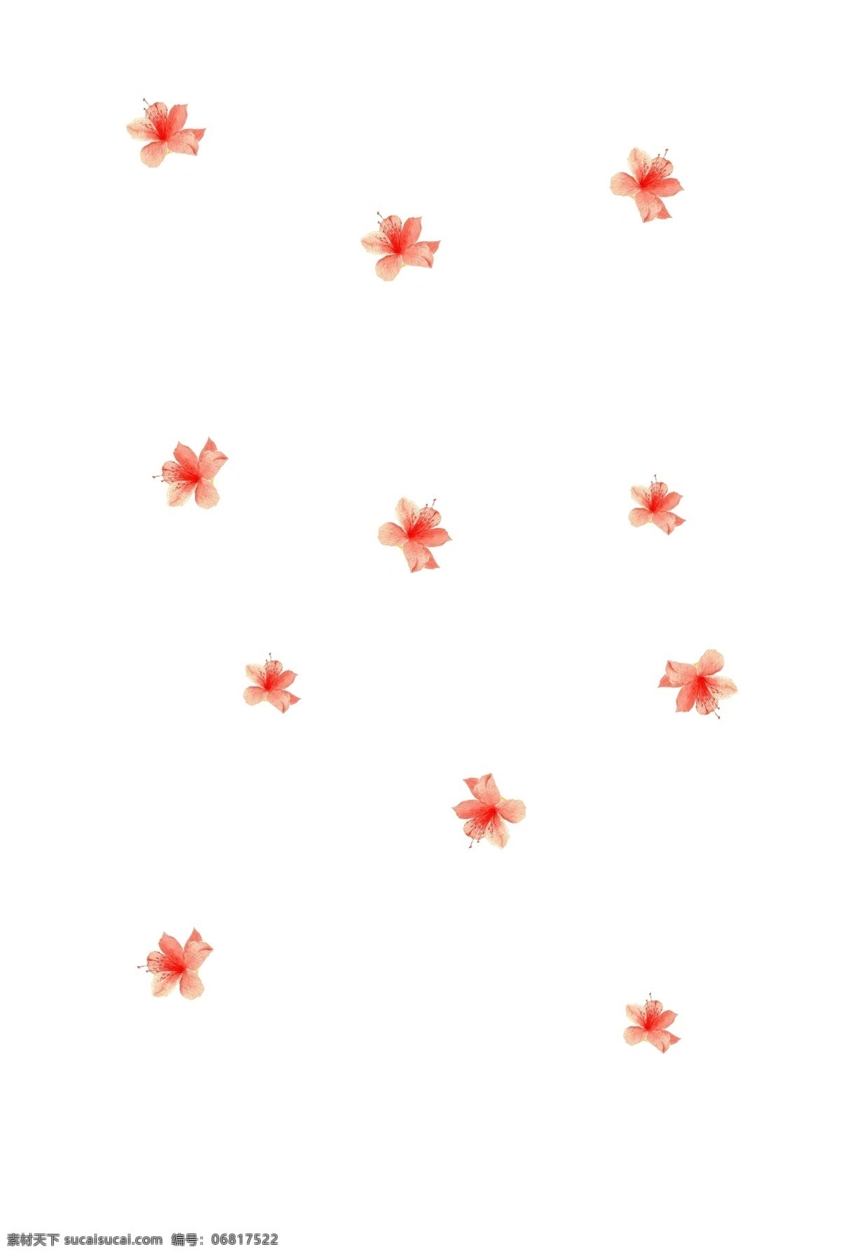 手绘 唯美 漂浮 手绘png 简约 创意 清新风 不规则图形 唯美花物语 绘图 装饰 可用于学习 交流 海报制作