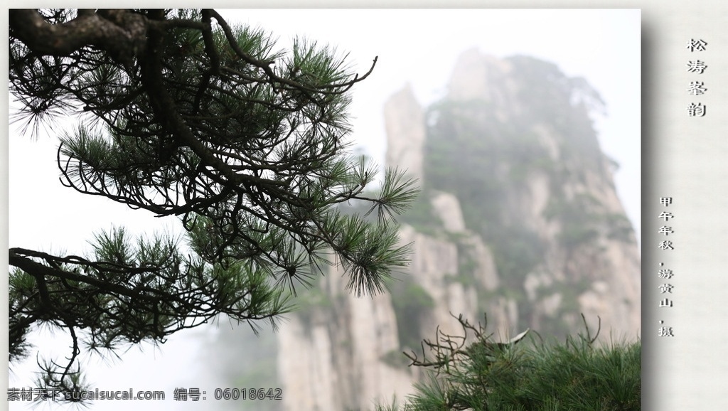 黄山松 黄山 松 雾 安徽 风光 自然景观 山水风景