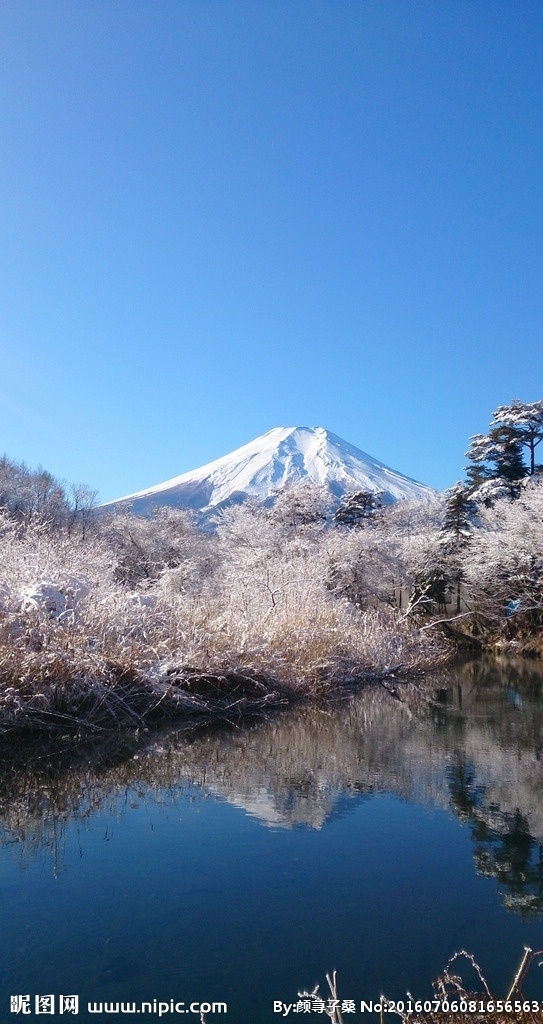 森林 水 湖 里程碑 景观 景区 天空 富士山下 山 日本云 富士山图片 湖泊 山脚下 日本富士山 摄影图片 鸟语花香 旅游摄影 自然风景