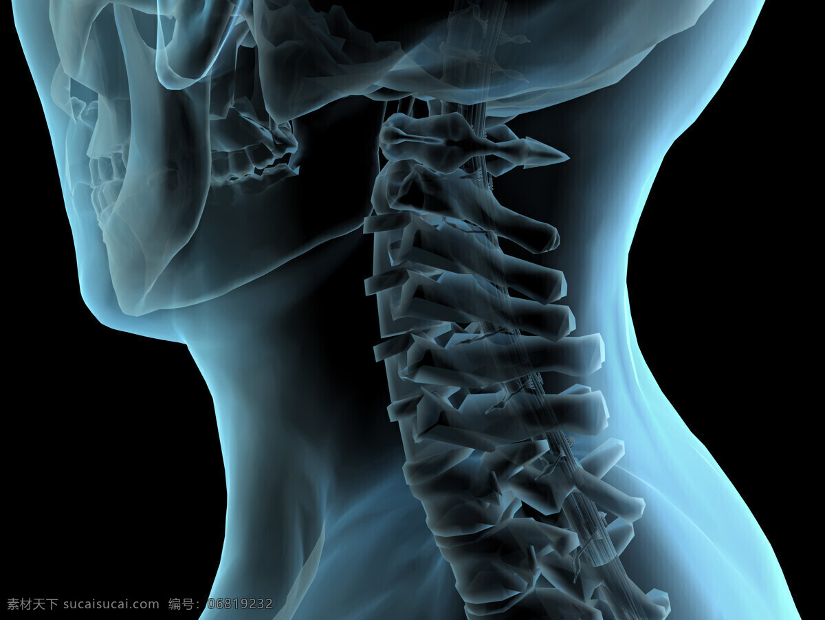 颈椎骨 颈椎透视 脊椎 脊椎骨 人体脊椎 人体透视 身体检查 拍ct 身体结构 人体研究 医学器官 医学器官图鉴 医疗护理 现代科技