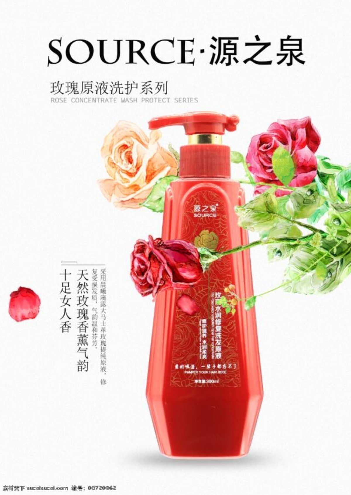 源 泉 洗 护 宣传海报 春天 玫瑰花 源之泉 洗护宣传海报 白色