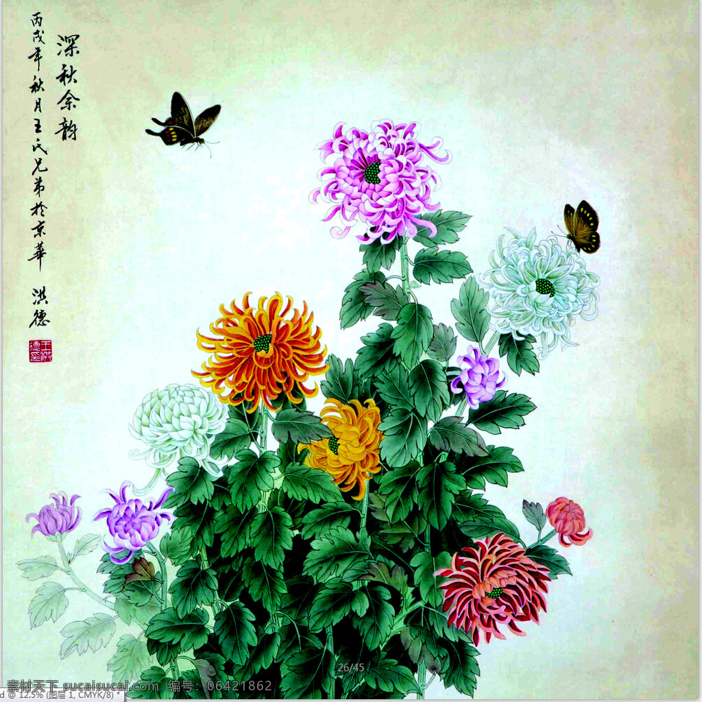 七 色 菊花 图 白菊花 蝴蝶 花 菊花图片 诗 黄菊花 红菊花 家居装饰素材