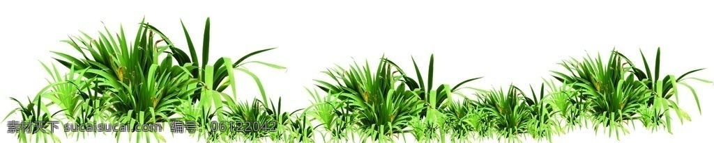灌木球 灌木植物 低矮植物 单株花卉 装饰花 小花卉 植物分层 绿化植物 植物 矮灌木植物 室内装饰植物 室外植物 单株植物 植物透明背景 绿化树 植物抠图 分层