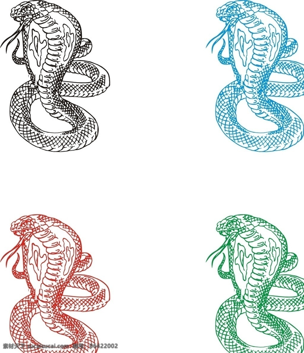 眼镜蛇 蛇 可编辑 多用途 独家 精细 野生动物 生物世界
