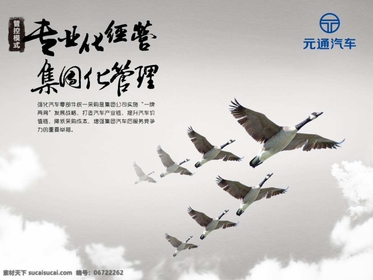 团队合作展板 大雁 企业文化 团队 合作 回巢 归队 展板