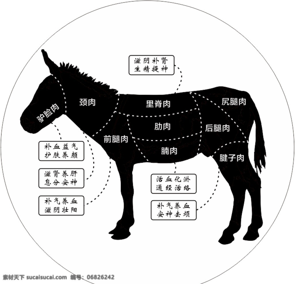 驴肉分割图 驴肉 分割图 驴 驴分割 驴肉部位 驴肉名称 菜色排版