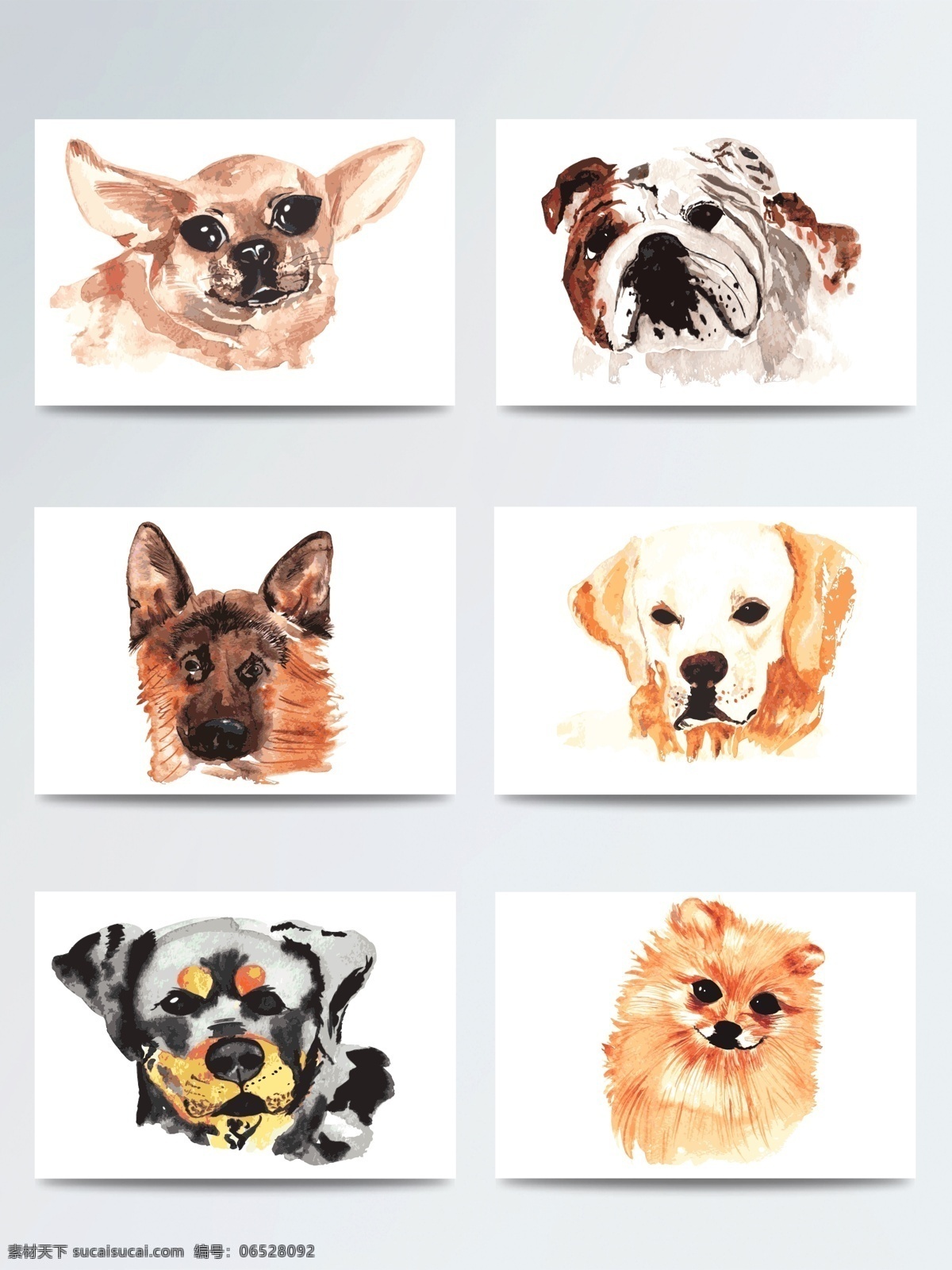 2018新春 白色 插画 狗 褐色 灰色 卡通 可爱 美观 配图 犬 手绘 水彩 2018 彩色 矢量 元素 土黄 装饰