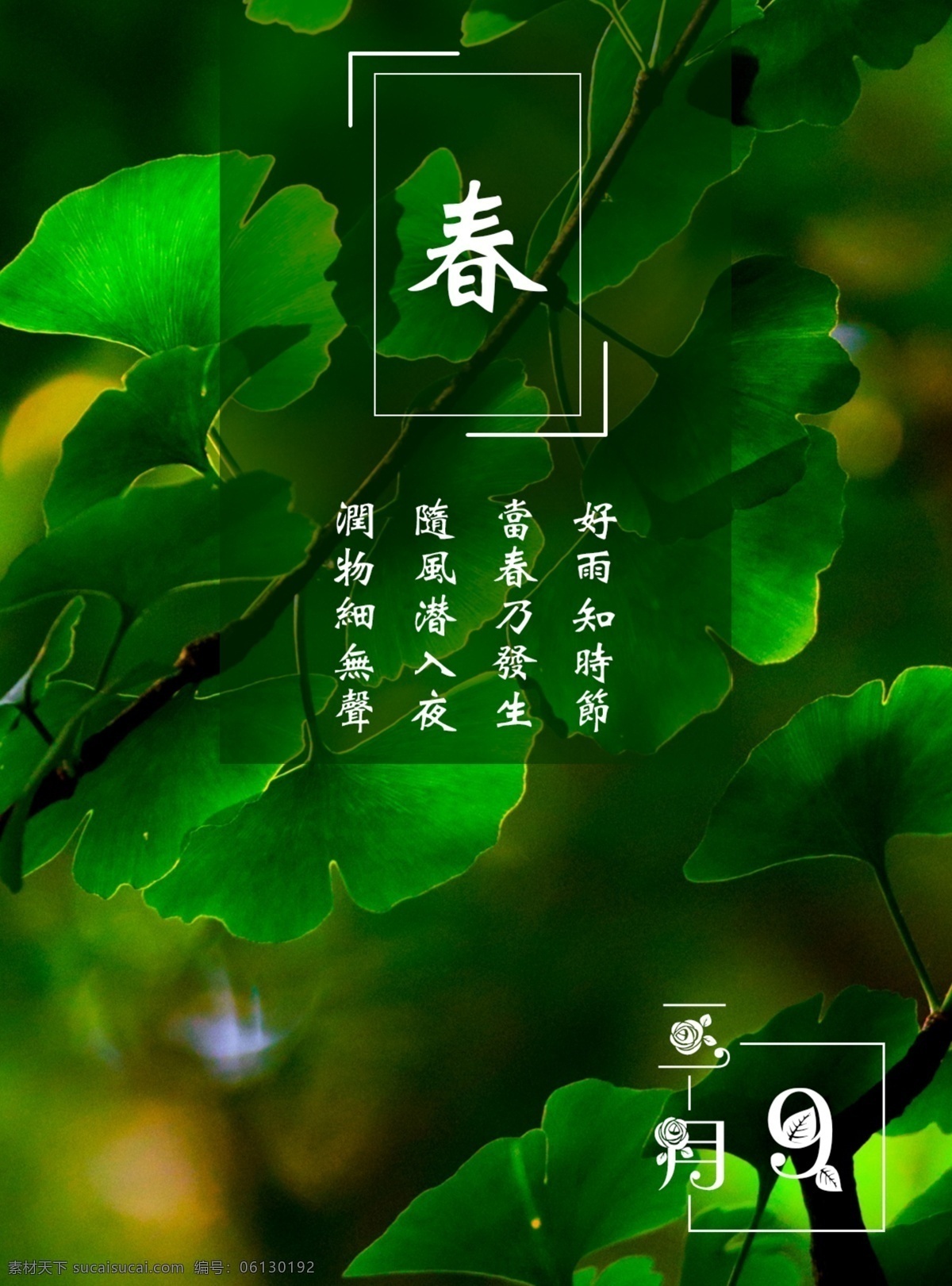 月 日 银杏 迎春 诗词 海报 简约 自然 展板 3月9日 春 春季问候