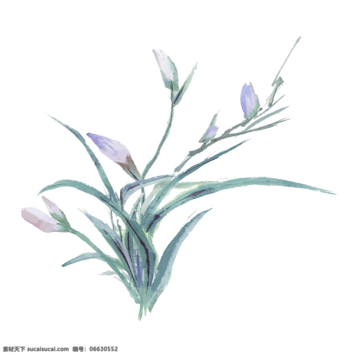 手绘 中国 风 植物 花 簇 水墨画 彩色 谷雨 清明 卡通 花簇 免抠 无背景 透明底 插画 原创 装饰 平面设计 中国风 装饰设计 彩墨画
