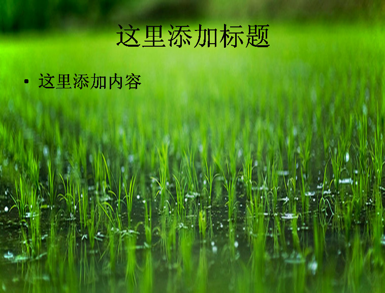 春耕 农田 封面 还 记得 小时候 田里 干活 日子 风景 背景图片 风景图片 自然风景 模板