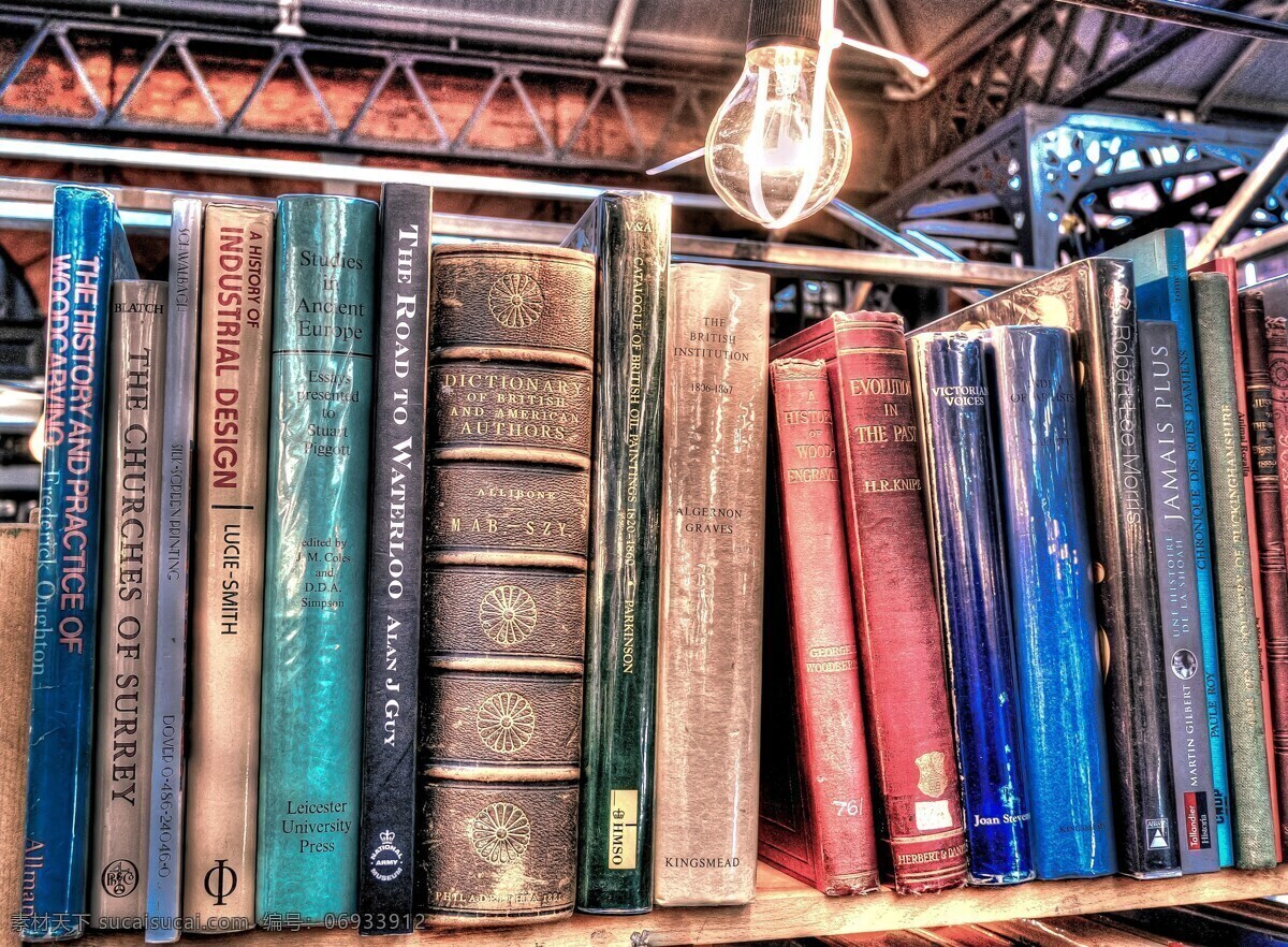 杂乱的书籍 书 书架 灯 书籍 多种 多彩 生活百科 学习办公