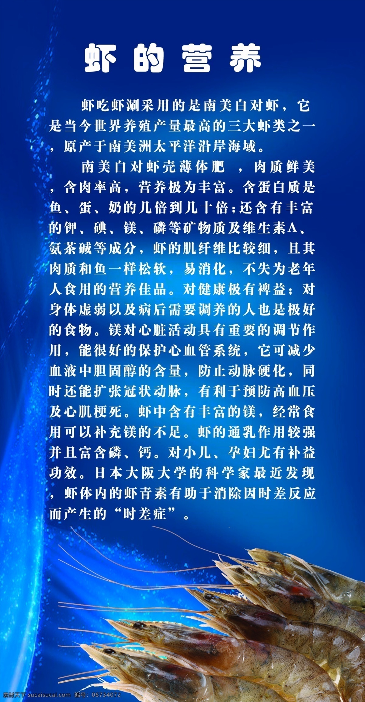虾的营养 虾 虾文化 南美白对虾 美食文化 分层