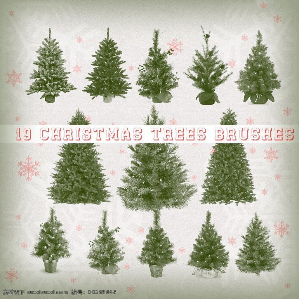 款 逼真 圣诞树 装饰 ps 笔刷 10款 绿色 漂亮 白色