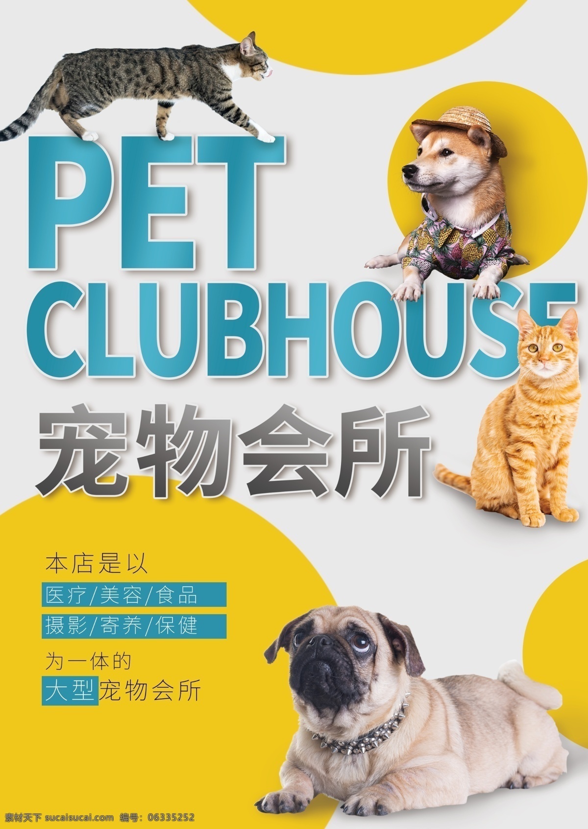 宠物会所宣传 宠物宣传 狗粮专卖 宠物出售 宠物寄养