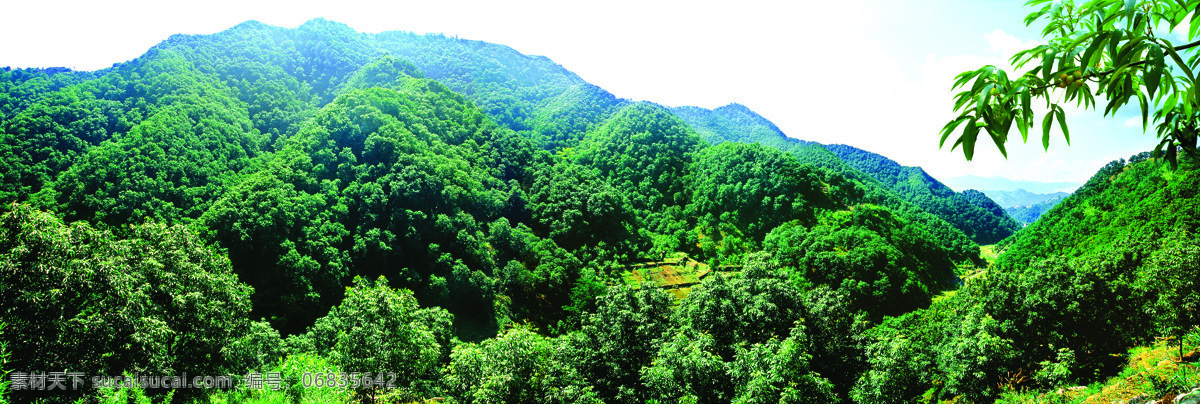 绿色森林 绿色 森林 山核桃 背景 群山 高清 植树 造林 大自然 保护区 自然景观 自然风景 摄影图库 300