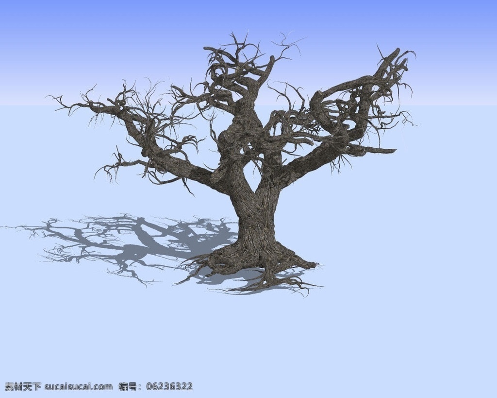 老 枯树 精细 3d 模型 树蔸 树干 树枝 树木 三维 立体 skp模型 poss 造型 精模 3d模型精选 其他模型 3d设计模型 源文件 skp