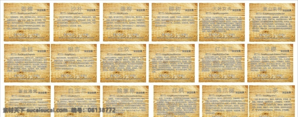 树木挂牌图 树牌 标牌 小标识 公园树牌 花园标牌 树木名称 树木标牌 小挂牌 树名牌 树种 名字 木纹背景 品种简介 版式设计 室外广告设计