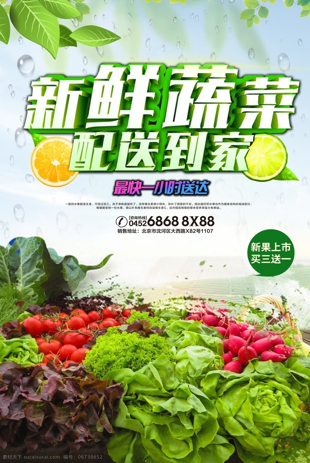 创意 大气 净菜 配送 外卖 宣传海报 菜品 广告 模板 蔬菜海报 净菜广告 蔬菜广告 净菜海报 蔬菜水果 蔬果 送货上门 外卖配送 背景 海报 配送员 送到家 各类蔬菜 外卖订餐 买菜 新鲜送达 创意大气 平面素材