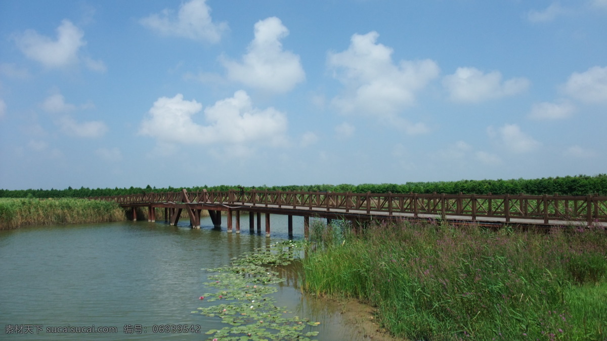 上海 崇明 东滩 湿地 照片 公园 草地 环保 生态 灌木 水生植物 芦苇 园路 木桥 水面 云彩 白天 景观 参考 自然风景 自然景观