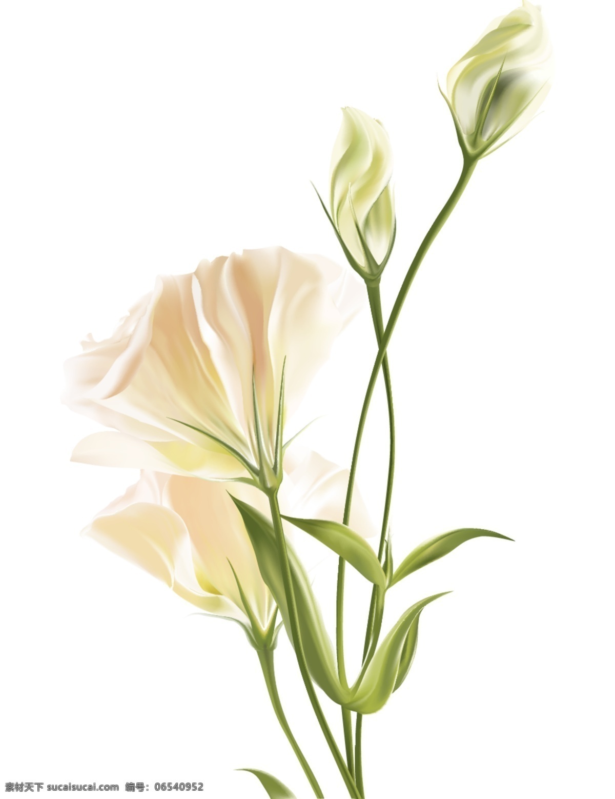 彩绘 手绘 树叶 插画 花枝 叶子 唯美 花边 水墨婚礼 春天 夏日 花纹 花儿 春暖花开 花朵 婚礼设计 婚礼素材 婚礼 结婚 夏天 素描花 背景 水彩花 水彩 卡通 卡通印花 服装印花 印花 手绘花鸟 花海 繁花 花丛 清新花朵 植物背景 绿色植物 浪漫 花diy 植物