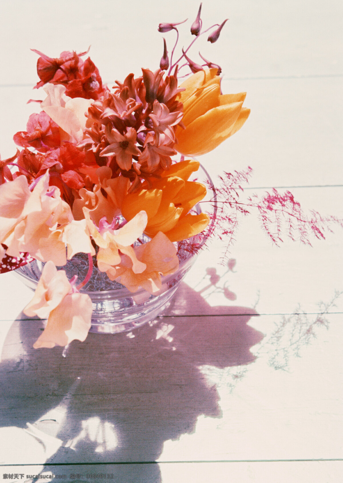 花卉摄影 插花 阳光 暖色 花朵 生物世界 花草