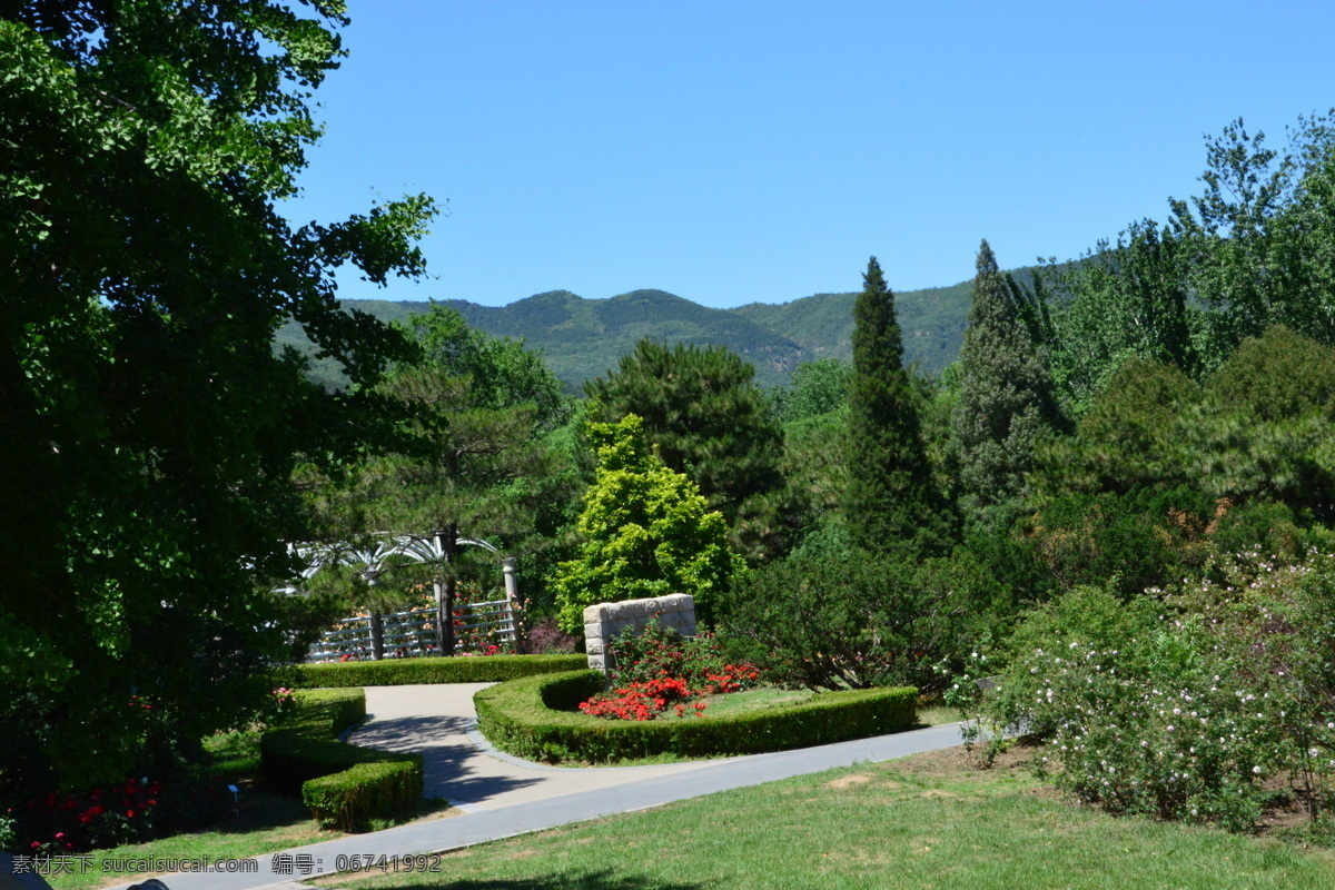 植物园风景 植物园美景 园林美景 小路 林荫道 绿树 彩叶树 植物 花草 园林景观 绿化景观 建筑园林 园林建筑