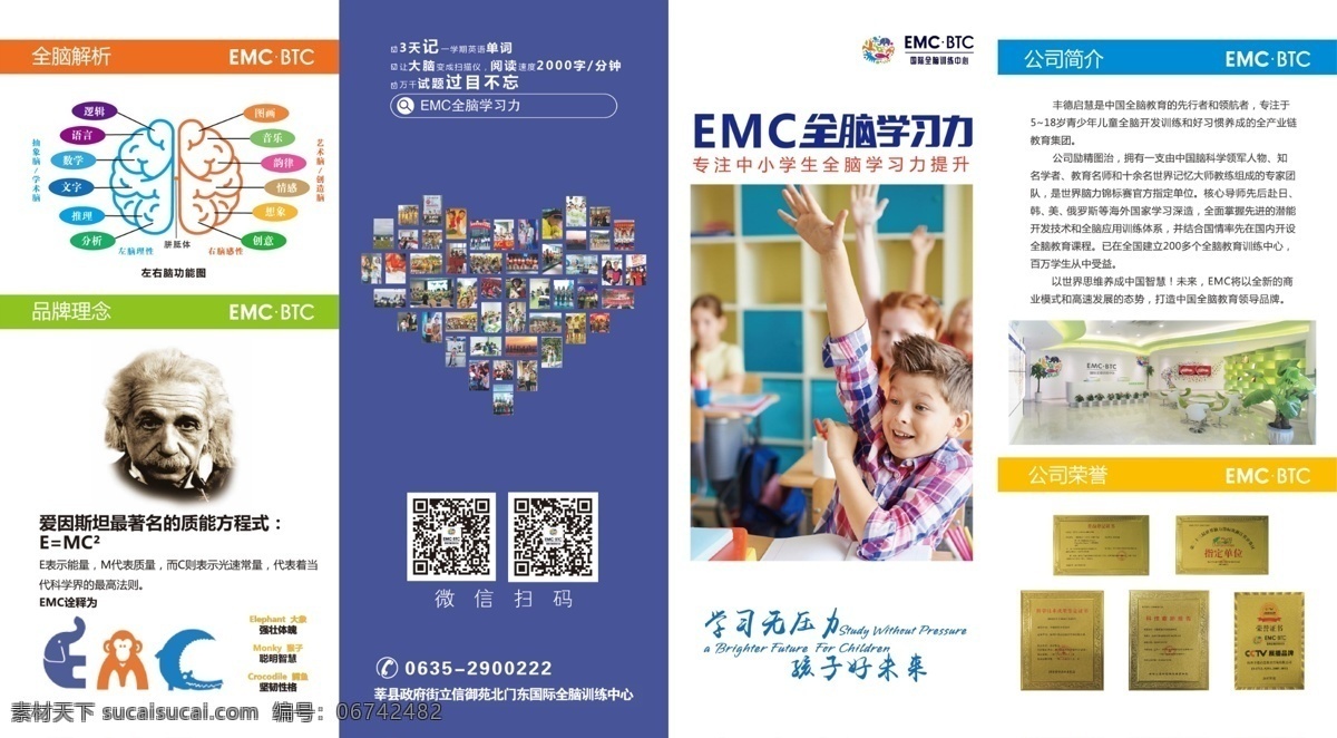 全 脑 学习 四 折页 全脑 培训 四折页 动脑 训练 分层