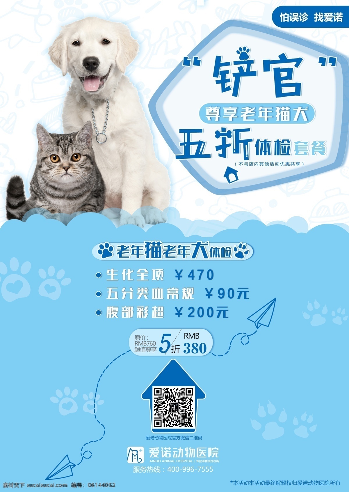 老年 犬 猫 体检 海报 猫狗 狗爪 展板 宠物 老年犬 猫体检海报