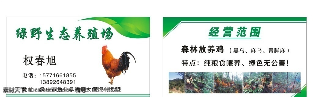 养殖场名片 养殖场 名片背景 鸡蛋 公鸡 生态园 土公鸡 家禽 散养 野生养殖 名片 养猪场 名片卡片