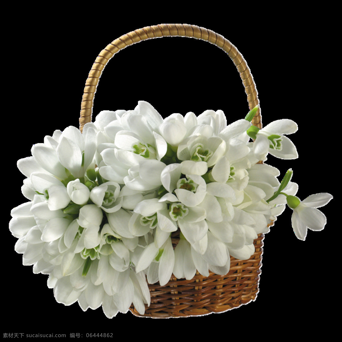 浪漫 花篮 花朵 元素 小清新 竹篮 白色花朵 免抠