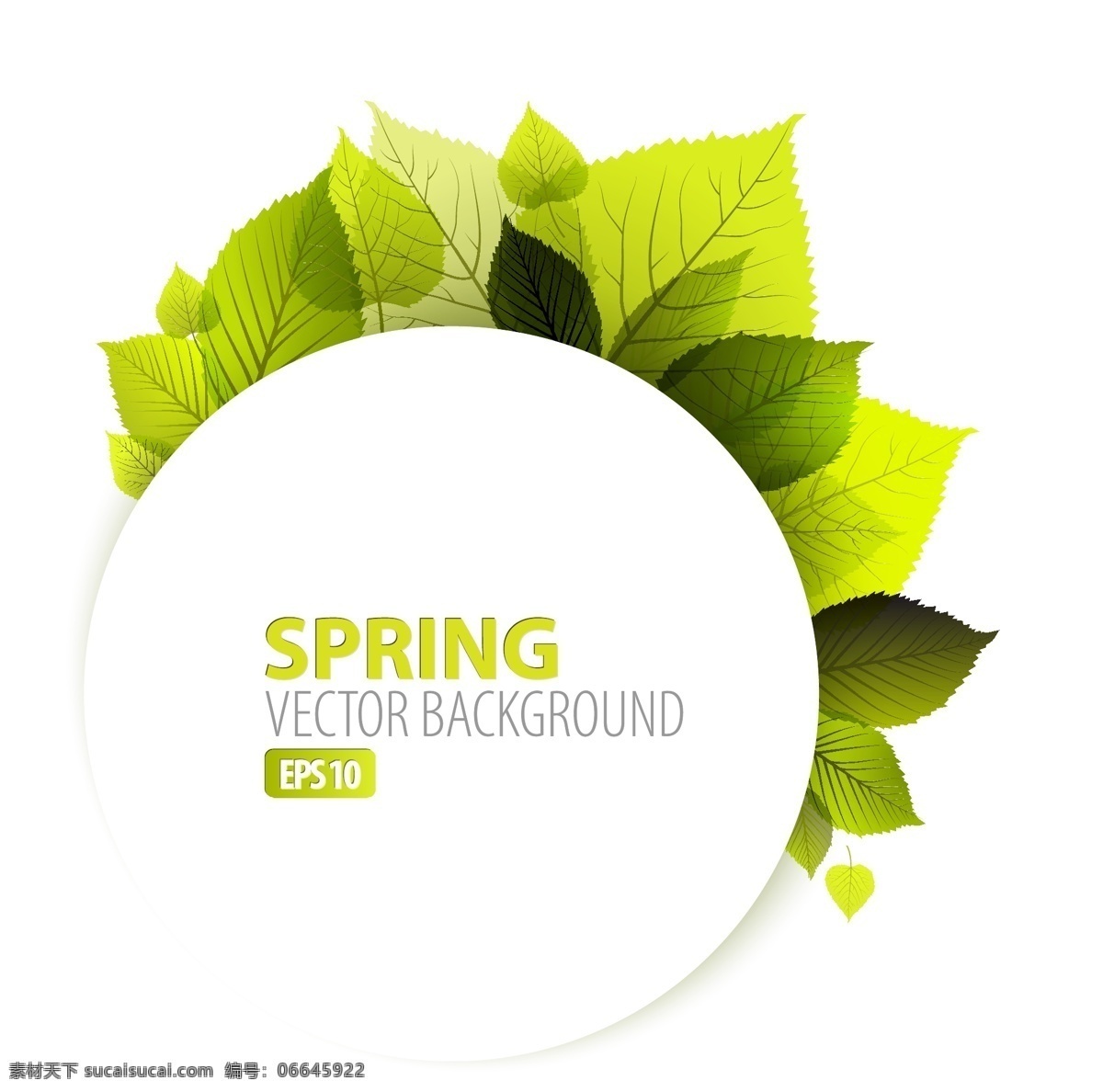 春天 绿色 树叶 矢量 圆圈 圆环 设计元素 高清 白色 装饰图案 广告装饰图案