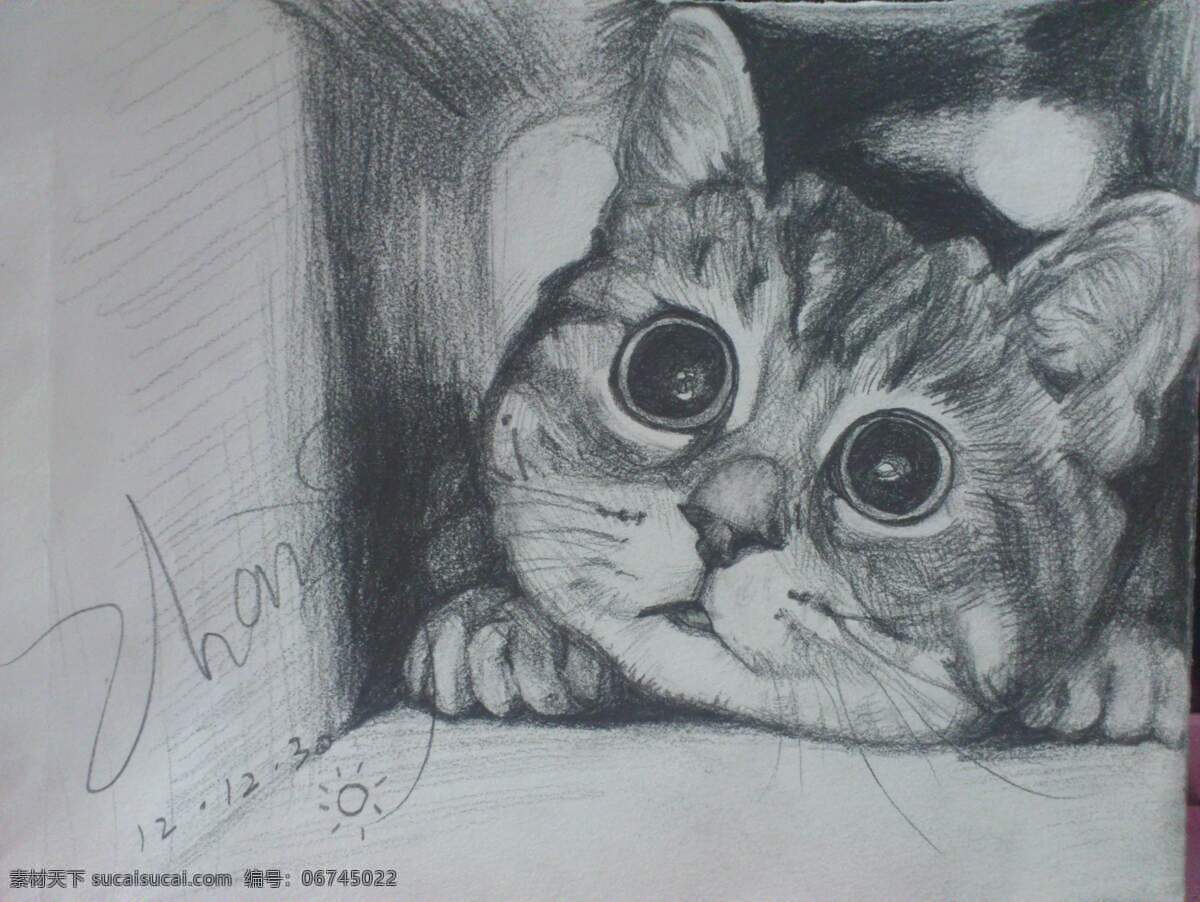 猫 可爱 萌宠 宠物 素描 画画